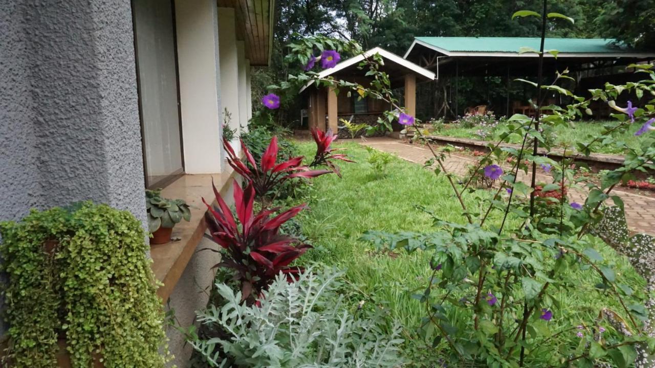 Walk With Us Africa Acomodação com café da manhã Moshi Exterior foto