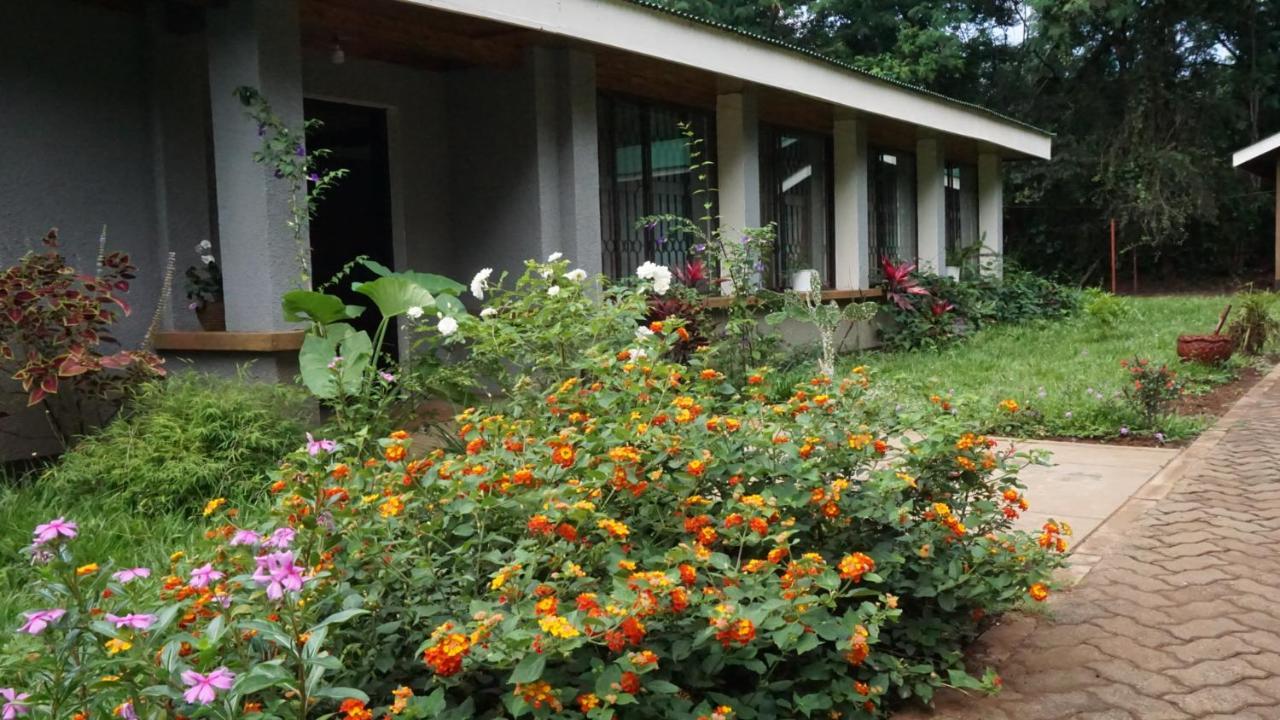 Walk With Us Africa Acomodação com café da manhã Moshi Exterior foto